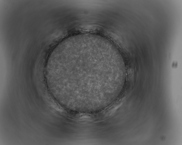 X0000101220913200807251107