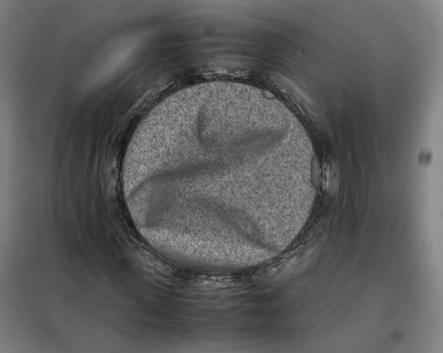 X0000101220915200807251108
