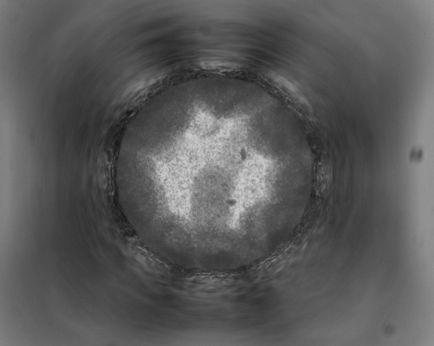 X0000101220917200807251108