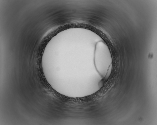 X0000101220919200807251108