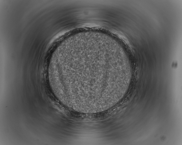 X0000101220920200807251108