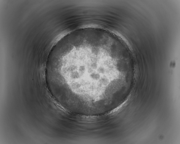 X0000101220921200807251108