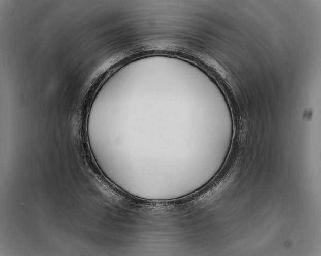 X0000101220922200807251108