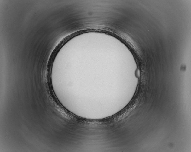 X0000101220924200807251108