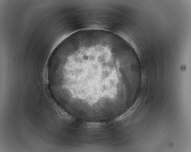 X0000101220925200807251108