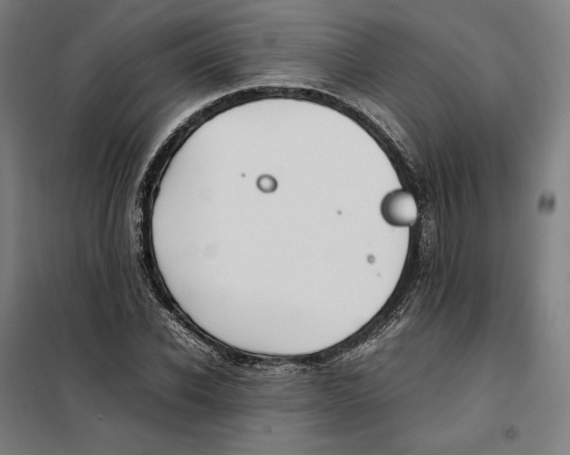 X0000101220926200807251108