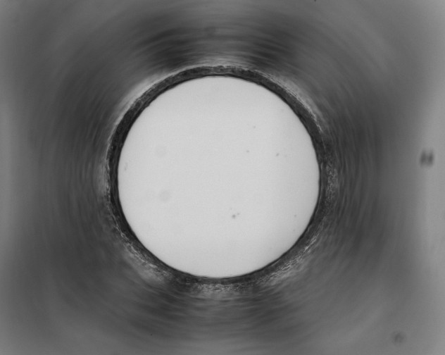X0000101220927200807251108