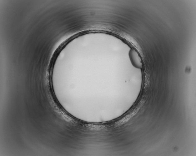 X0000101220928200807251108