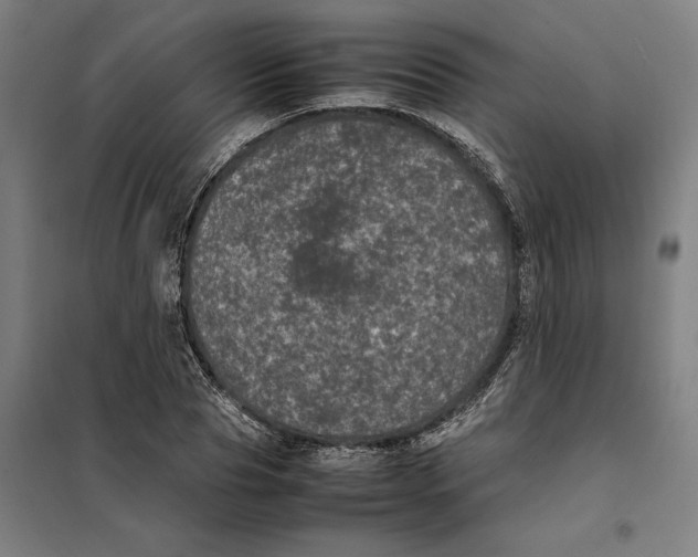 X0000101220929200807251108