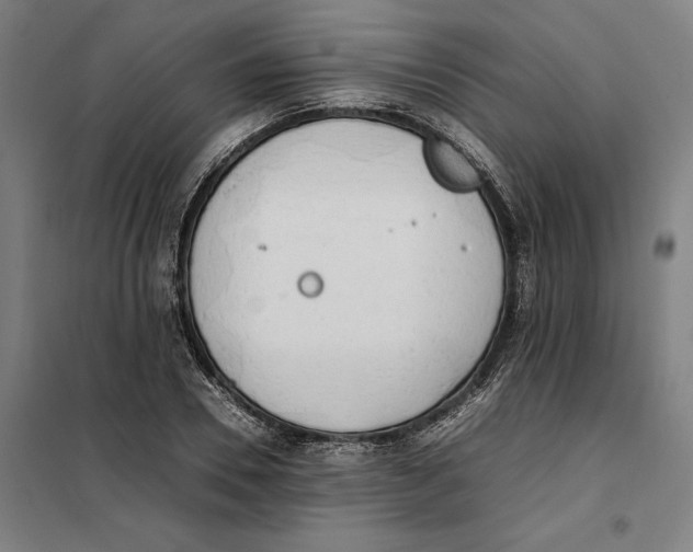 X0000101220930200807251108