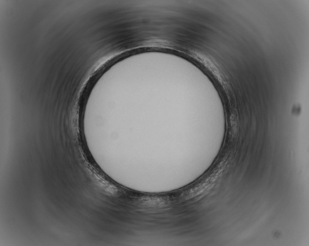 X0000101220931200807251108