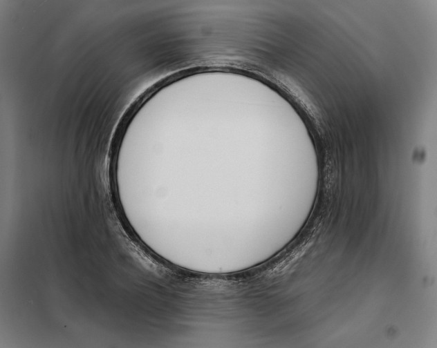 X0000101220932200807251108