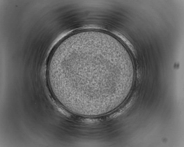 X0000101220933200807251108