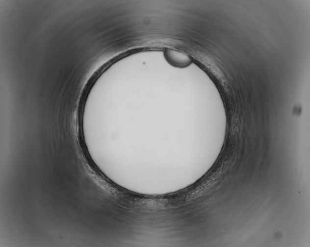 X0000101220936200807251108