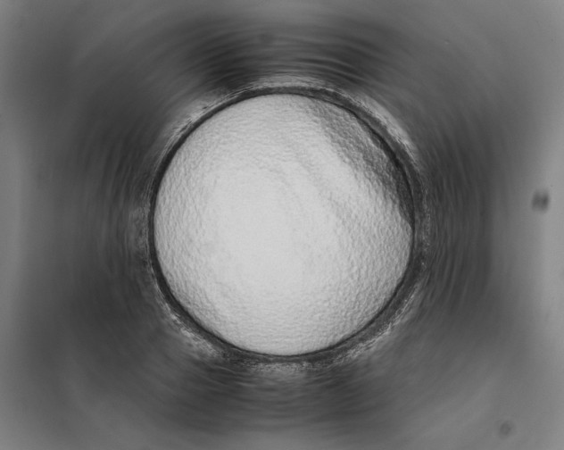 X0000101220937200807251108