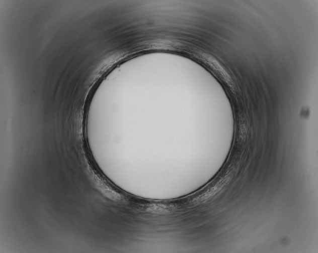 X0000101220938200807251108