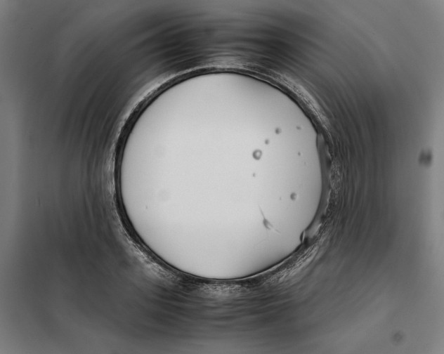 X0000101220939200807251108