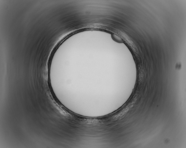 X0000101220940200807251108