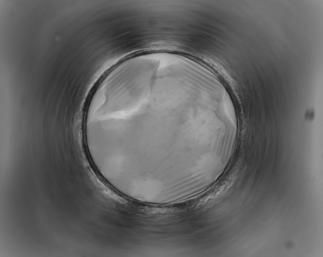 X0000101220941200807251108