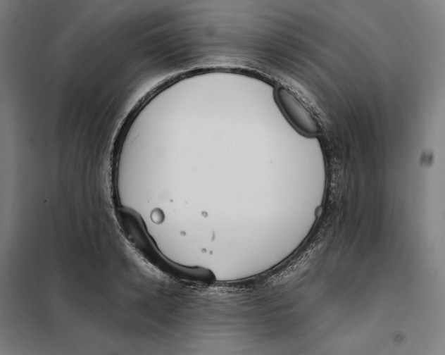 X0000101220942200807251108