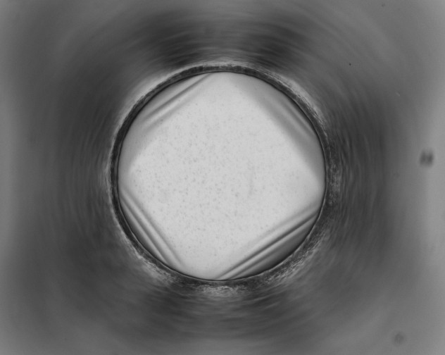 X0000101220943200807251108