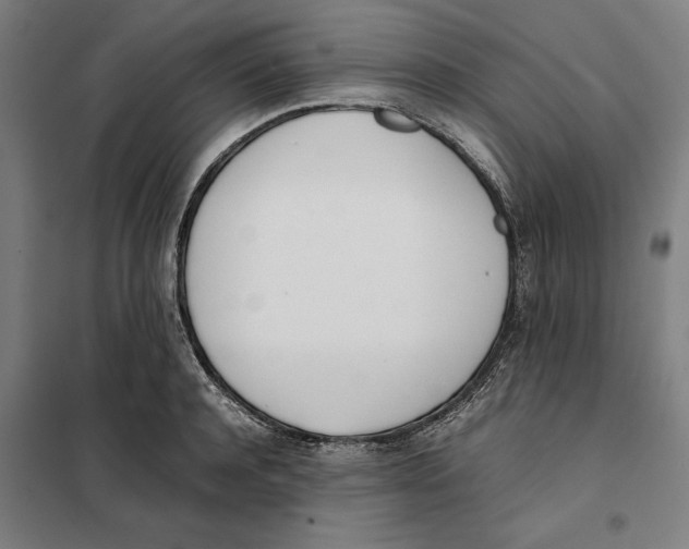 X0000101220944200807251108