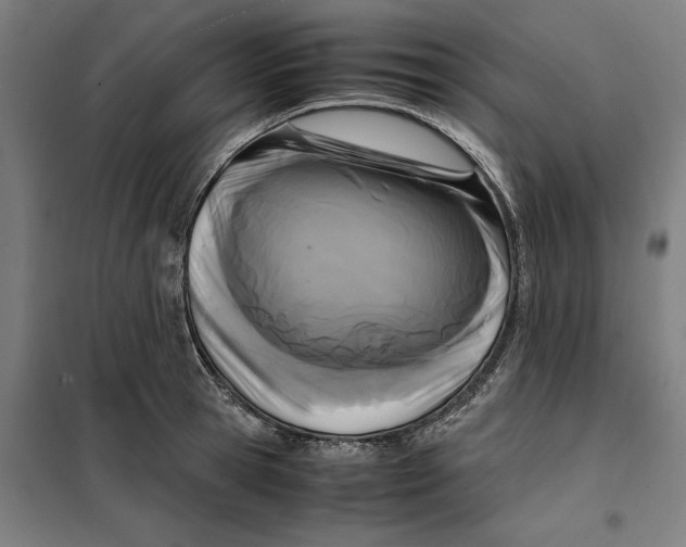 X0000101220945200807251108