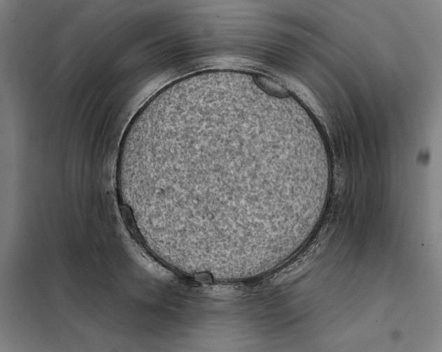 X0000101220946200807251108