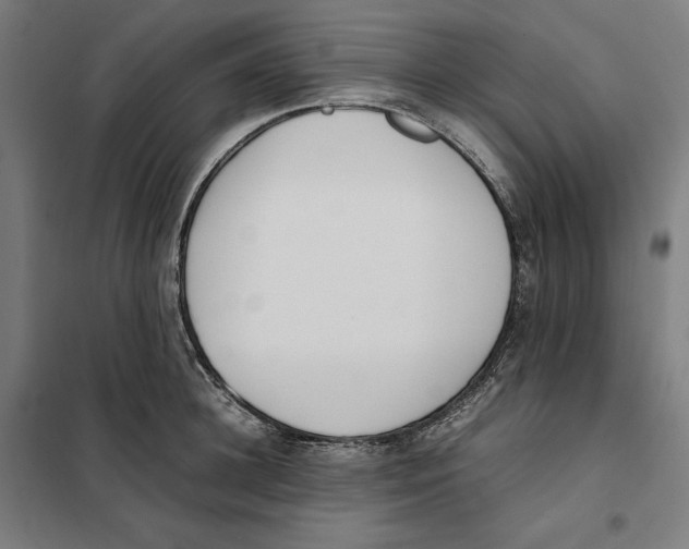 X0000101220948200807251108