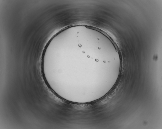 X0000101220949200807251108