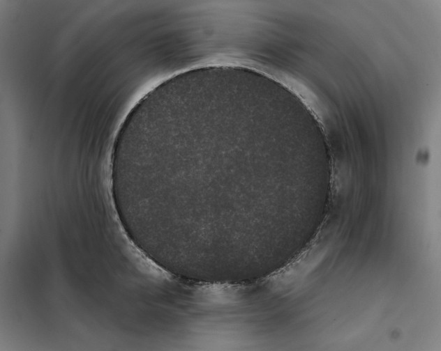 X0000101220950200807251108