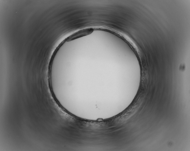 X0000101220951200807251108