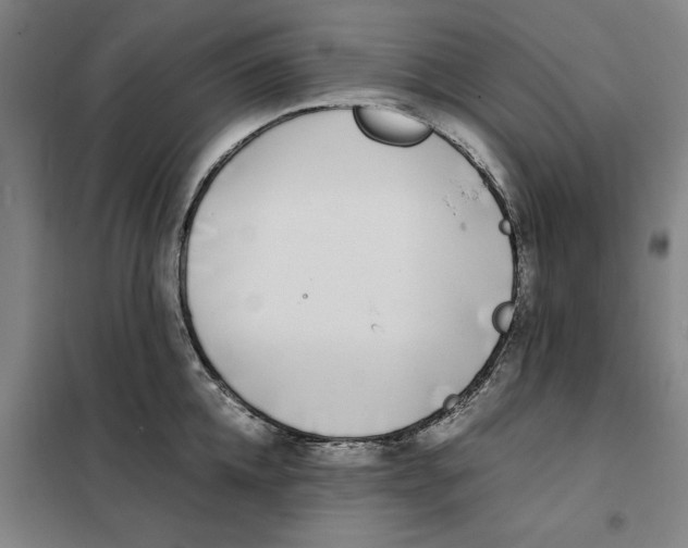 X0000101220952200807251108
