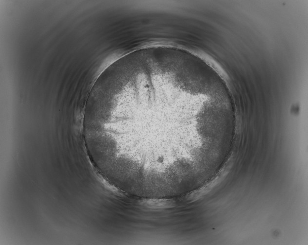 X0000101220953200807251108
