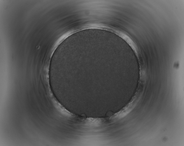 X0000101220954200807251108