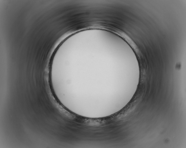 X0000101220955200807251108