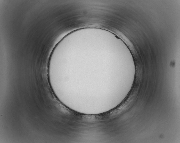 X0000101220956200807251108
