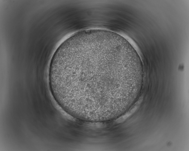 X0000101220957200807251108