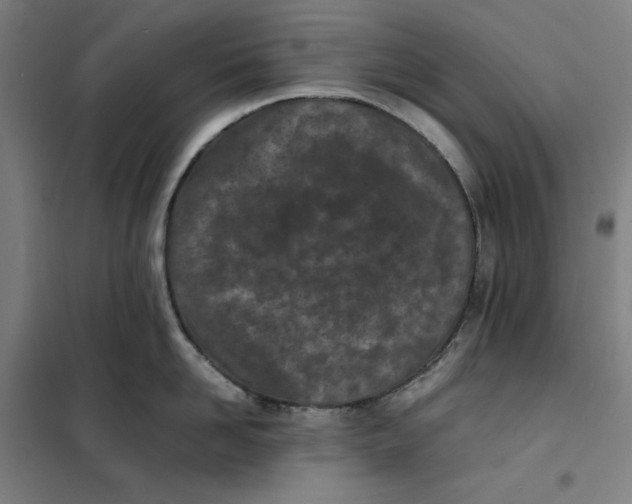 X0000101220958200807251108