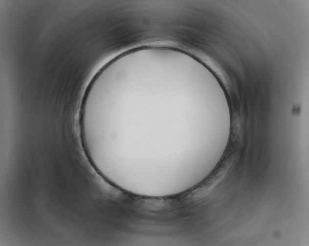 X0000101220959200807251108