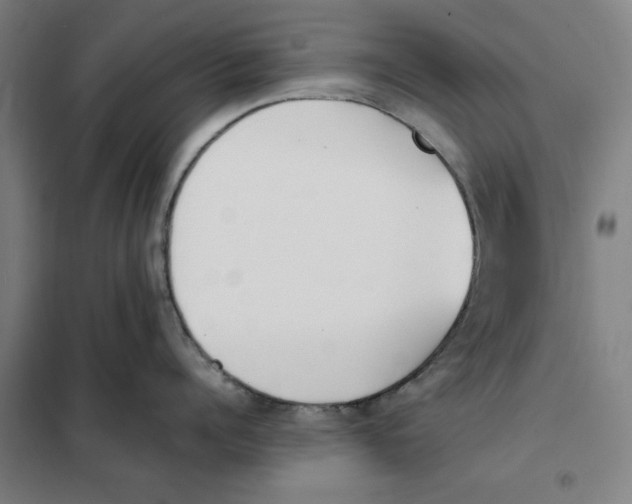 X0000101220960200807251108