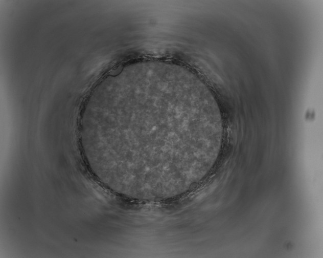 X0000101220961200807251107