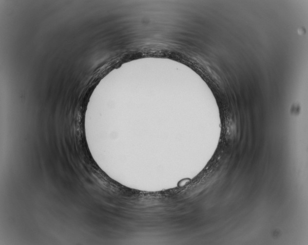 X0000101220964200807251107