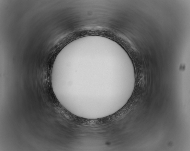 X0000101220966200807251107