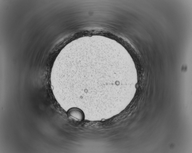 X0000101220967200807251107