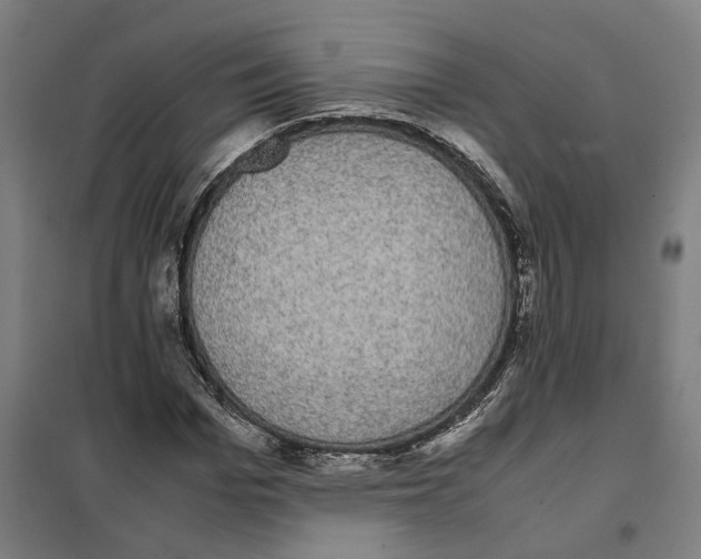 X0000101220969200807251107