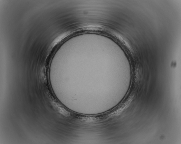 X0000101220970200807251107