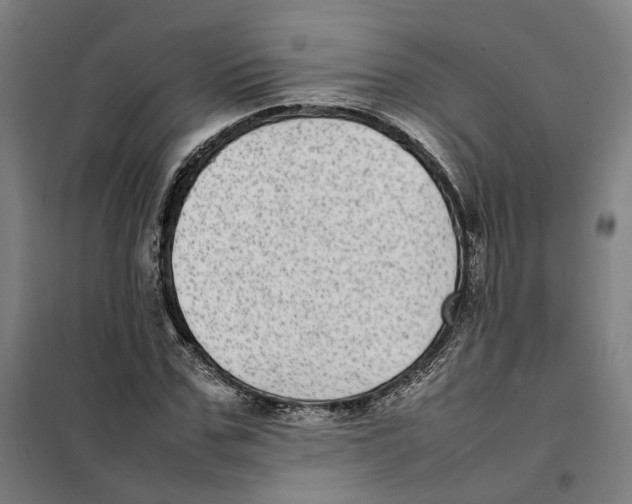 X0000101220971200807251107