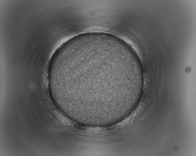 X0000101220973200807251107