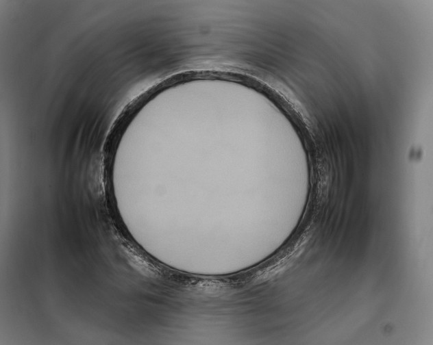 X0000101220974200807251107